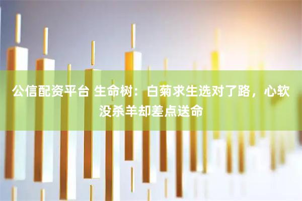 公信配资平台 生命树：白菊求生选对了路，心软没杀羊却差点送命